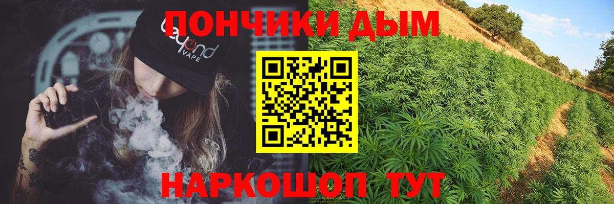 Каннабис планчик Томск