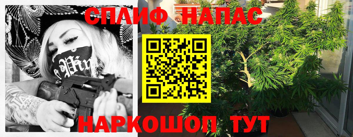 Бошки Шишки марихуана  Вход с VPN  Бошки Шишки SATIVA & INDICA  Конопля марихуана  Томск 